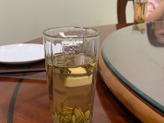 -椿不老