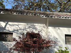 -西湖外事游船(花港观鱼码头)