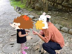 -十渡东湖港风景区