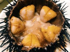 生吃海胆-海味当家·蒸锅海鲜(中山广场创始店)
