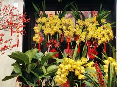 -溪岸路花鸟市场