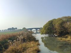 -莲花岛景区