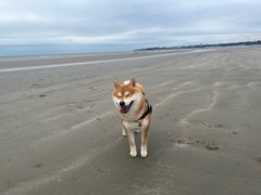 -江山半岛白浪滩景区