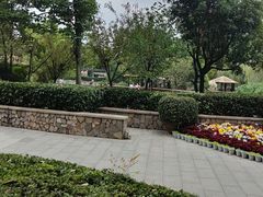 -成飞公园