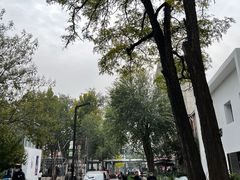 -沈记菜馆(酒仙桥路店)