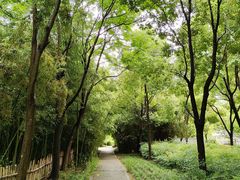 -新虹桥中心花园
