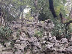 -西园戒幢律寺