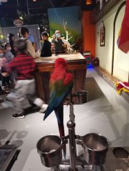 -未来动物城动物主题公园(大悦城店)