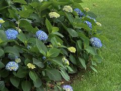 -常州古运河南大街文化旅游区-人民公园