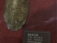 -自贡恐龙博物馆