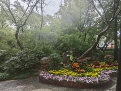 -汇龙潭