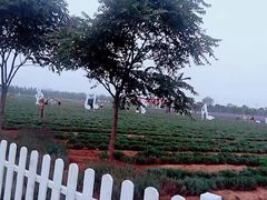 -渔岛海洋度假区