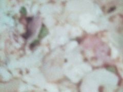 -棒约翰比萨·意面(张江长泰店)