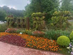 -铁山坪森林公园