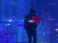 -沈阳海洋探索中心