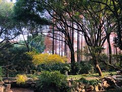 -上海醉白池公园