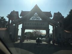 -大湾区中央湿地公园-十九涌