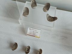 -南阳府衙