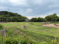 -宁波野生动物园