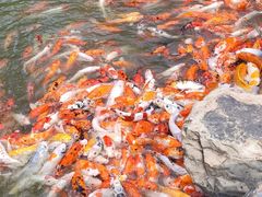 -厦门日月谷温泉渡假村