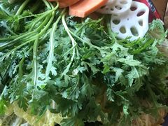 蔬菜拼盘-东镇老火锅(长春路首店)