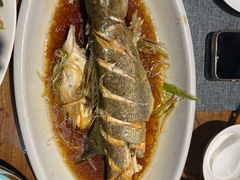 -老山东·山东菜(鲁菜名店)