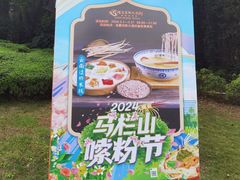 -圣爵菲斯大酒店(长沙世界之窗店)