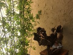 -新紫霞养生·影院足道·SPA(金山区店)