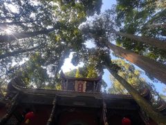 -都江堰普照寺