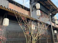 -三圣花乡旅游区