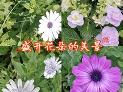 -南屏步行街