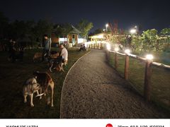 -爪吧宠物乐园·宠物泳池(温榆河示范区店)