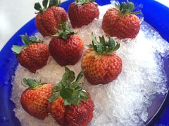 -四季民福烤鸭店(前门店)