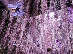 -正佳雨林生态植物园