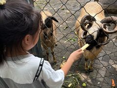 -长白岛森林公园