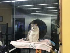-谜盒子奇幻密室(南屏店)