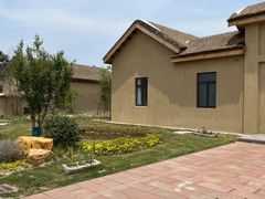 -盐城丹顶鹤湿地生态旅游区