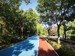 -大兴滨河森林公园