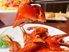 -香港狮子山下·明星粤菜餐厅(北苑店)