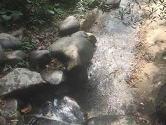 -火炉山森林公园