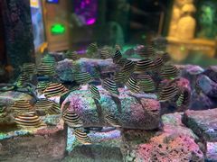 -沈阳海洋探索中心