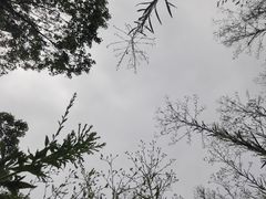 -漕湖湿地公园