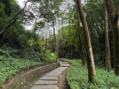 -黄埔油麻山森林公园