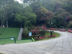 -青青世界