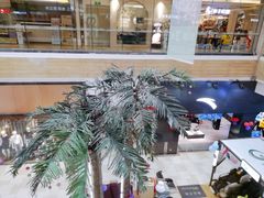 -顺联广场(陈村店)