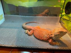 -酷嗒动物文化乐园(cutezoo西溪乐天城店)