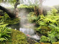 景观位-Chom Cafe and Restaurant