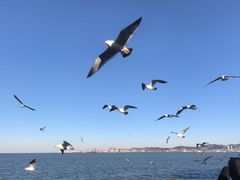-悦海公园