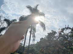 -深圳仙湖植物园-停车场
