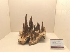 -中国沉香文化博物馆